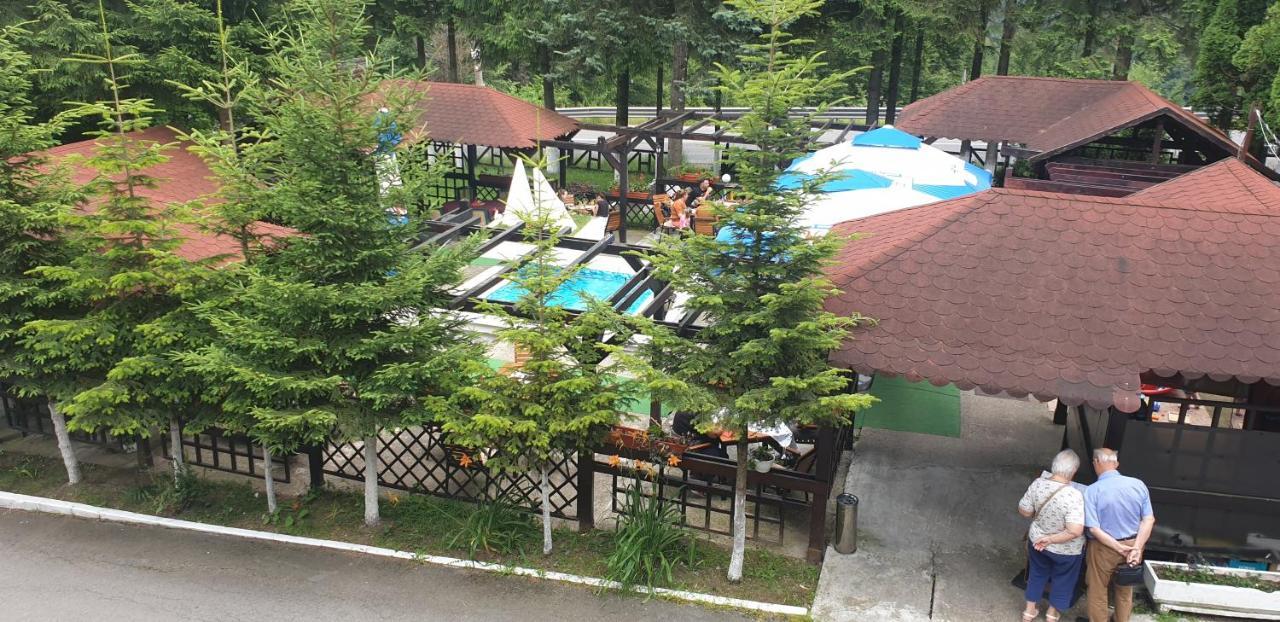 Hotel Bucegi Portile Regatului プルウル・レチェ エクステリア 写真
