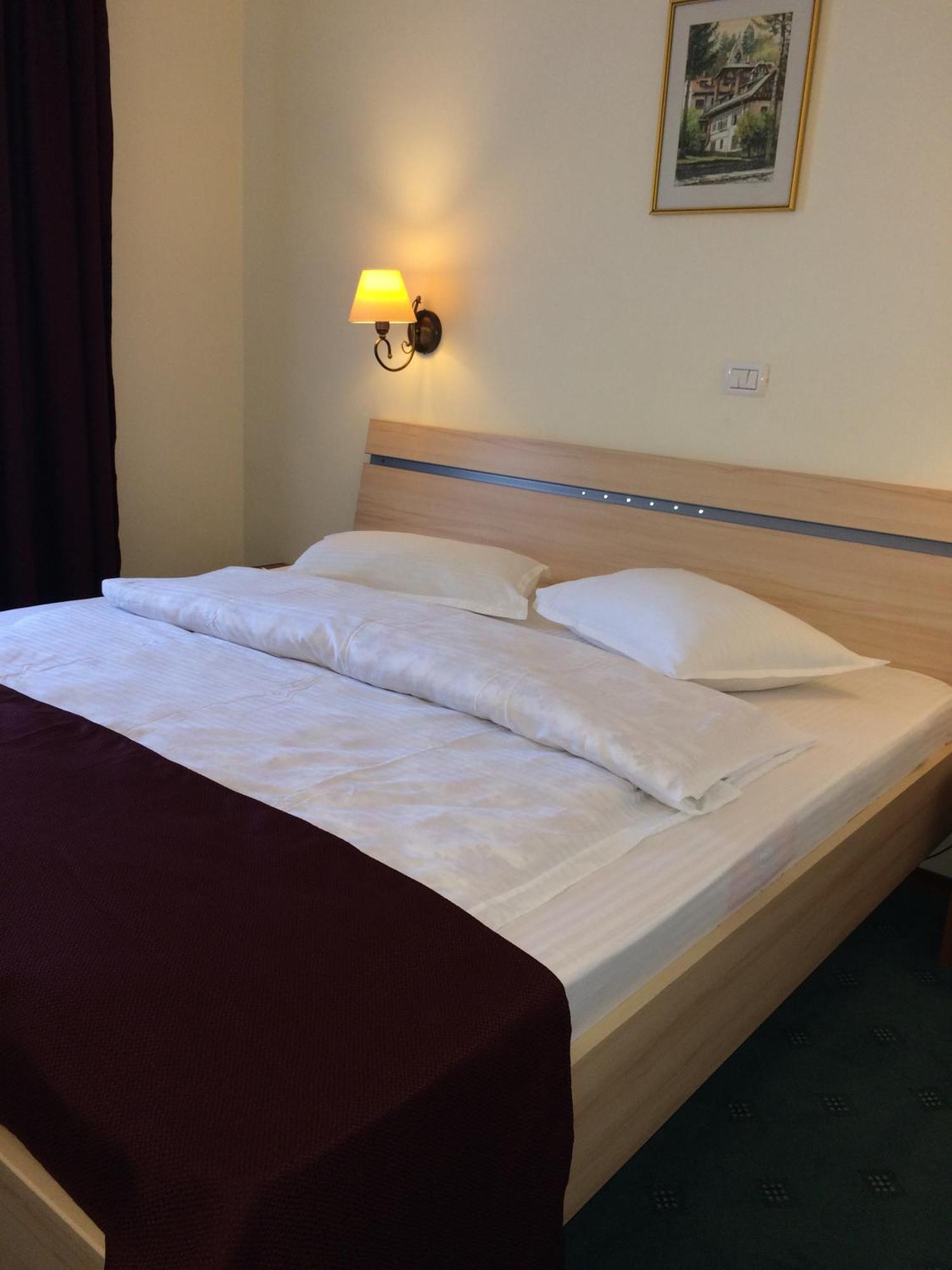 Hotel Bucegi Portile Regatului プルウル・レチェ 部屋 写真