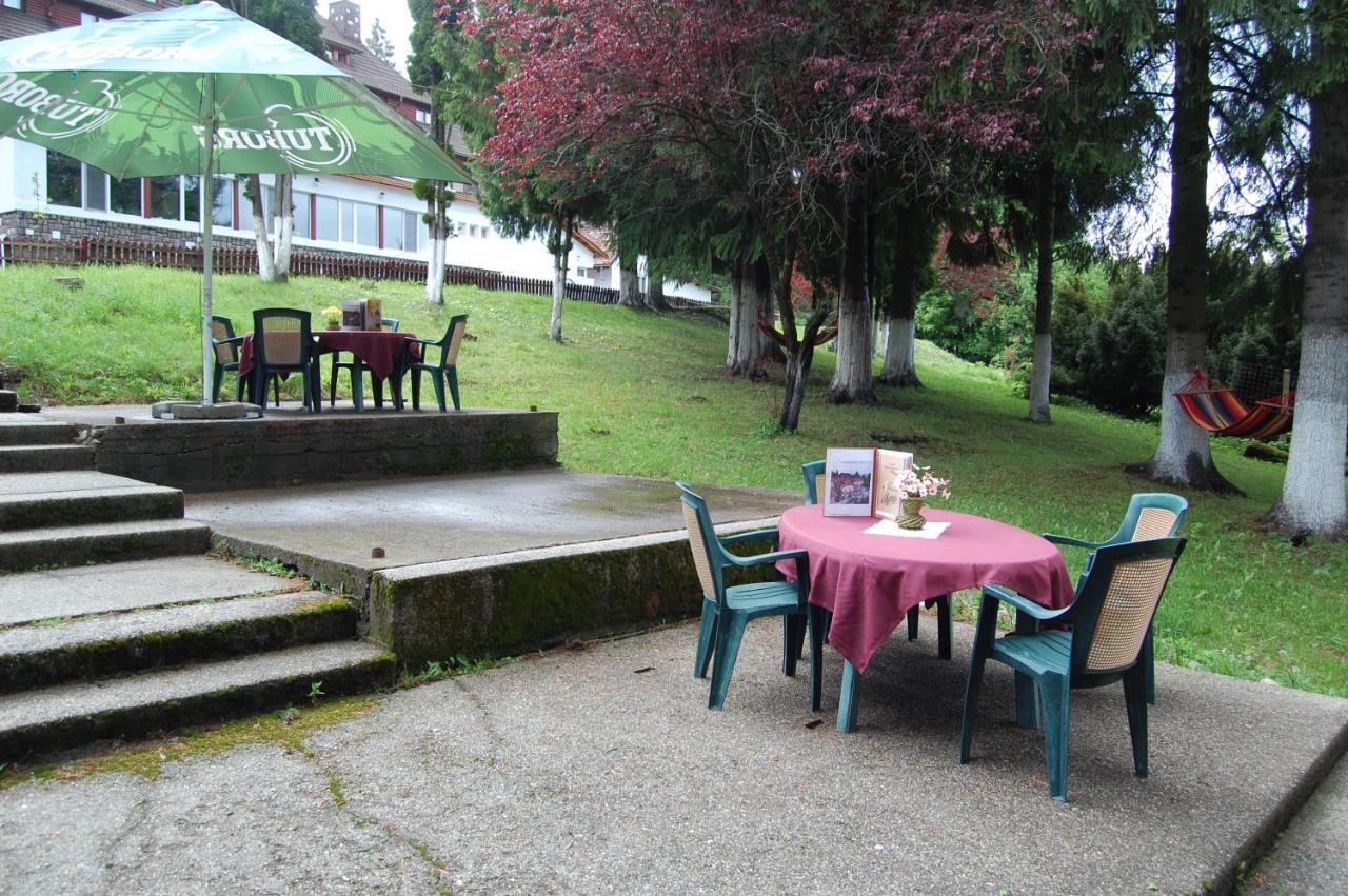 Hotel Bucegi Portile Regatului プルウル・レチェ エクステリア 写真
